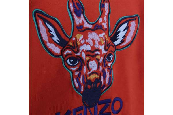 zo-th-1